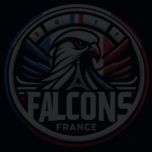 a logo for the falcons france with a dart in the middle