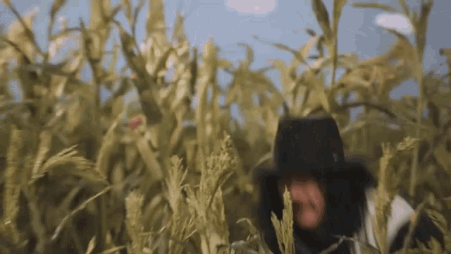 a man wearing a black hat is standing in a field of tall grass