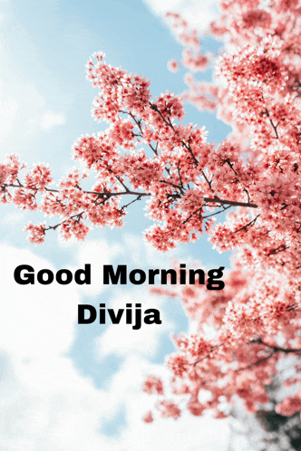 a picture of a cherry blossom tree with the words good morning divija above it