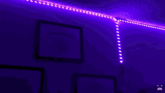 Lighs Room Lights GIF - Lighs Room Lights Purple GIFs
