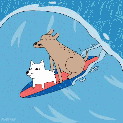 Dog Surfing GIF - Dog Surfing Surf GIFs