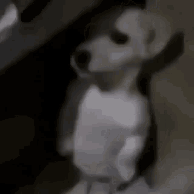 Dog Standing Here GIF - Dog Standing Here Meow GIFs