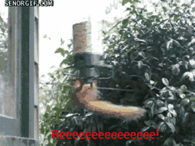 Reee Squirrel GIF - Reee Squirrel Spinning GIFs