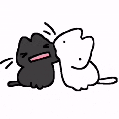 a black cat is standing next to a white cat .