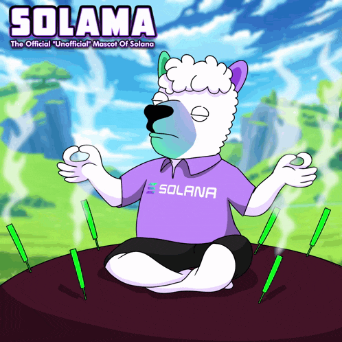 a cartoon of a polar bear wearing a purple shirt with solana on it