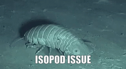 Isopod Issue GIF - Isopod Issue Isopod Issue GIFs