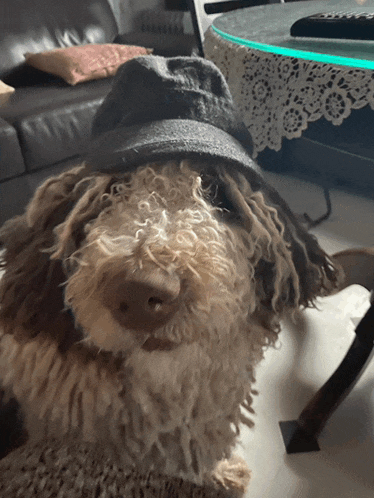 a dog wearing a hat is sitting in front of a table