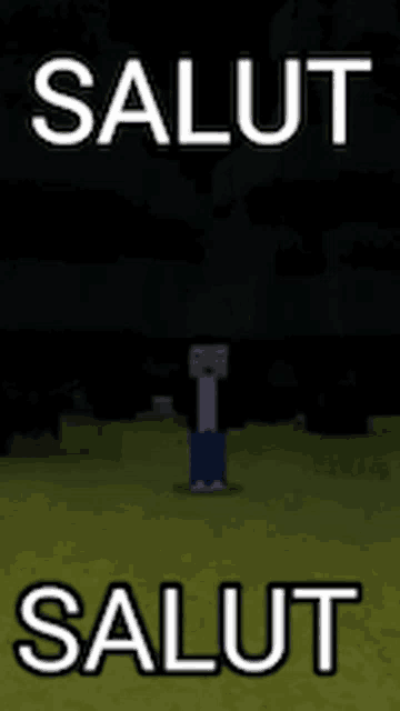 a picture of a minecraft character with the words salut salut on the bottom
