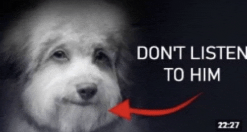 a black and white photo of a dog with the words " do n't listen to him "