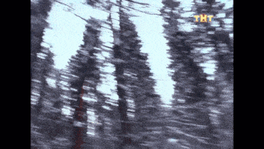 a blurry picture of a snowy forest with trees covered in snow and a tnt logo in the corner .