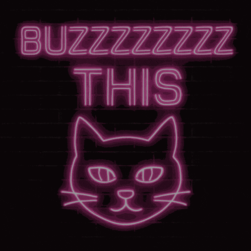 a neon sign that says buzzzzzz this with a cat face