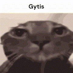 a black and white photo of a cat 's face with the word gytis on the bottom .