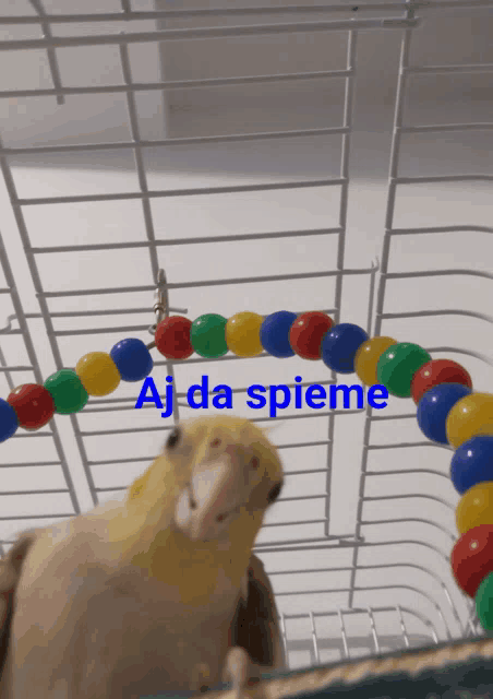 a bird in a cage with the words aj da spieme written above it