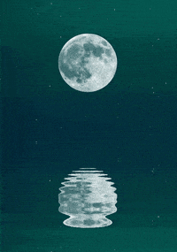 the full moon is reflected in the water