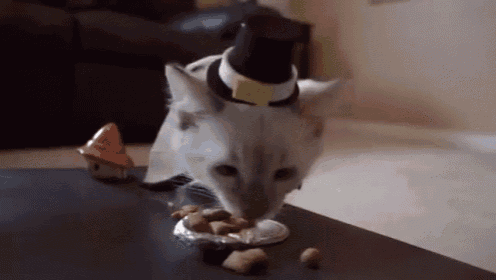 a cat wearing a top hat is eating food from a plate