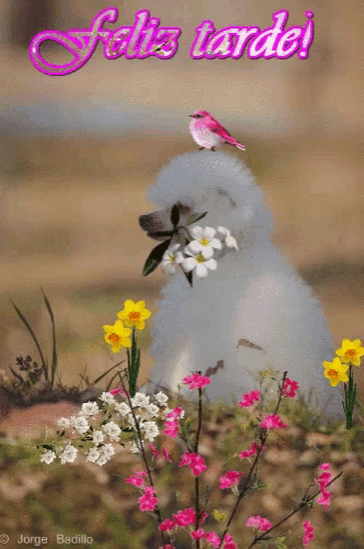 a greeting card that says feliz tarde with flowers and a bird