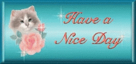 Have A Nice Day Have A Great Day GIF - Have A Nice Day Have A Great Day GIFs
