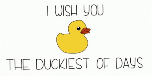 Duckiest Ducky Day GIF - Duckiest Ducky Day Laetifisch GIFs