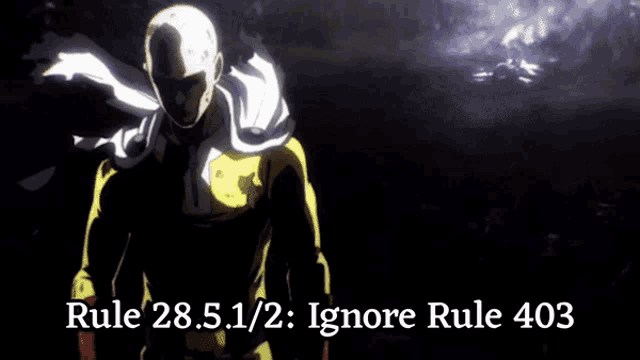 rule 28.5.1 / 2 : ignore rule 403 written on a blurry background