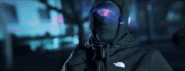 a person wearing a black north face jacket with a hood