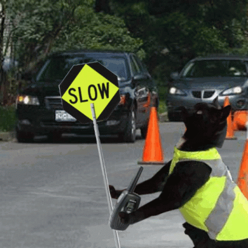 Cat At Work Stop GIF - Cat At Work Stop Slow GIFs