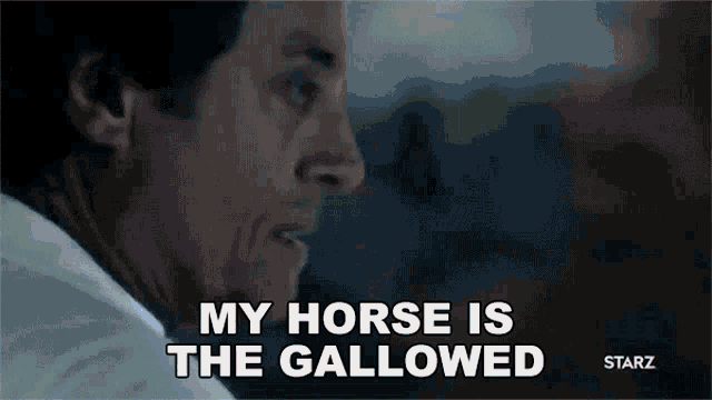 a man is saying that his horse is gallowed