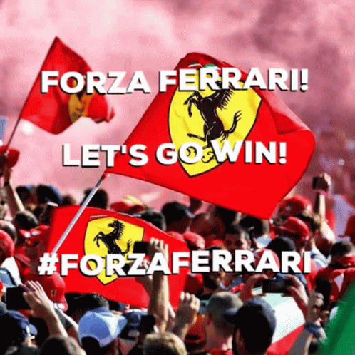 Forza Ferrari GIF - Forza Ferrari Win GIFs