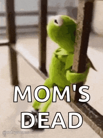 kermit the frog is leaning against a railing with the words `` mom 's dead '' written below him .