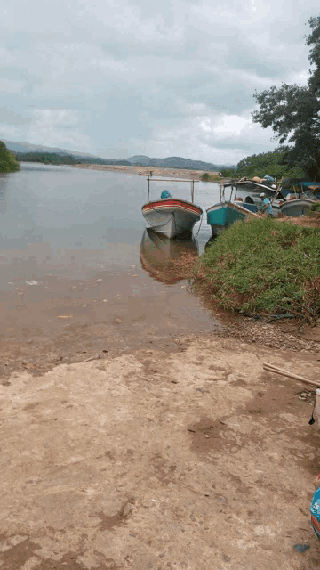 a couple of boats are docked on the shore of a lake