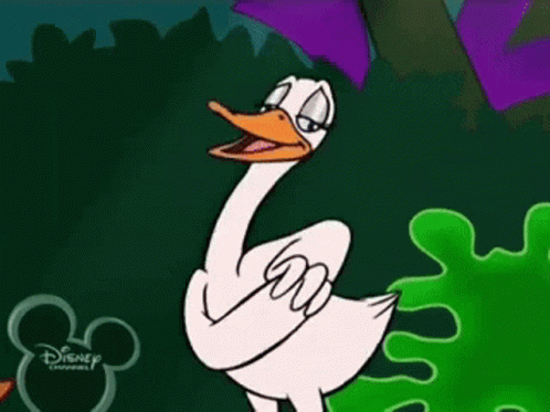 Brandy And Mr Whiskers Brandy GIF - Brandy And Mr Whiskers Mr Whiskers Brandy GIFs