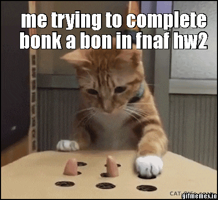 a cat is playing with a toy that says ' me trying to complete bonk a bon in fnaf hw2 ' on it