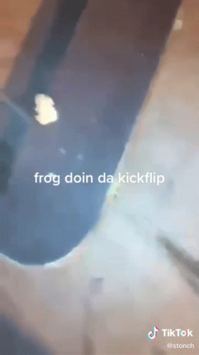 Frog Doin Da Kickflip Skateboard GIF - Frog Doin Da Kickflip Skateboard Skating GIFs