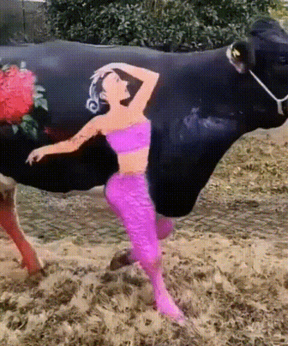 a woman in a pink top is standing next to a black cow