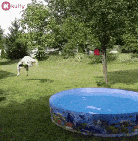 Water Games Fail.Gif GIF - Water Games Fail Water Funny Water GIFs