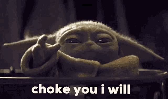 a close up of a stuffed animal with the words `` choke you i will '' on it .