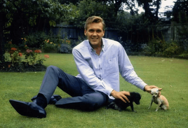 a man in a blue shirt sits on the grass with two small dogs