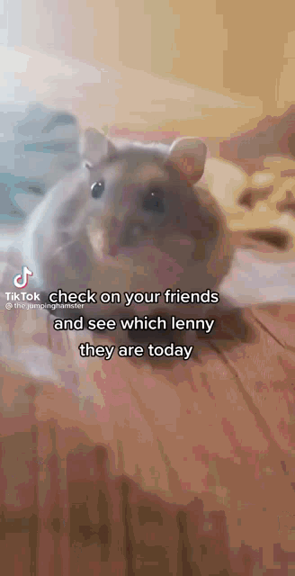 Lenny Rat Suicidal Rat GIF - Lenny Rat Suicidal Rat So Funny GIFs