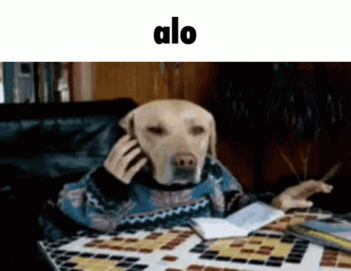 Alo Dog GIF - Alo Dog Hello GIFs