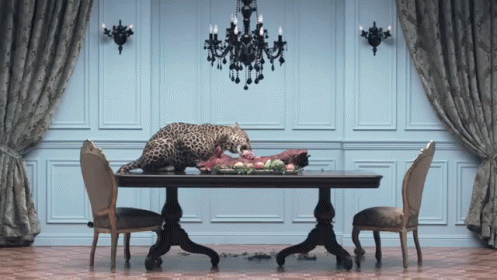 House Cats GIF - Cats Bigcats Cheetah GIFs
