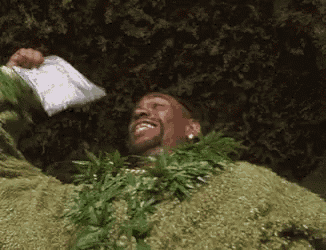 a man is wearing a lei and holding a bag of weed .