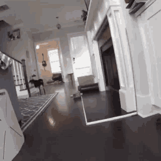 a dog is walking in a living room next to a fireplace and stairs