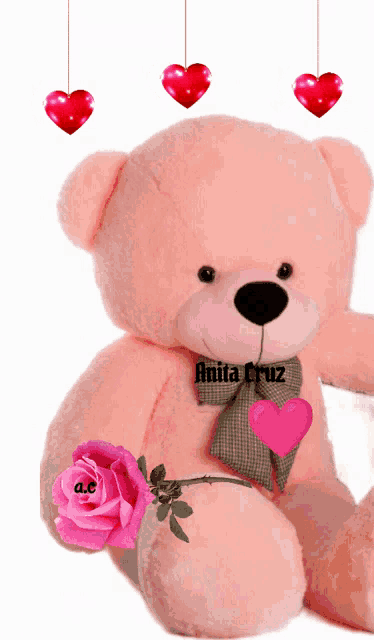 a pink teddy bear with the name anita cruz written on it