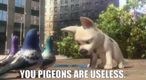 Bolt Movie You Pigeons Are Useless GIF