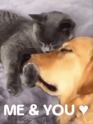 Me And You Cute GIF - Me And You Cute Adorable GIFs