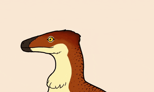 a cartoon drawing of a bird with white feathers around its neck .