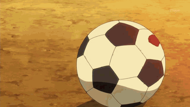 a soccer ball with a red spot on it is on the ground