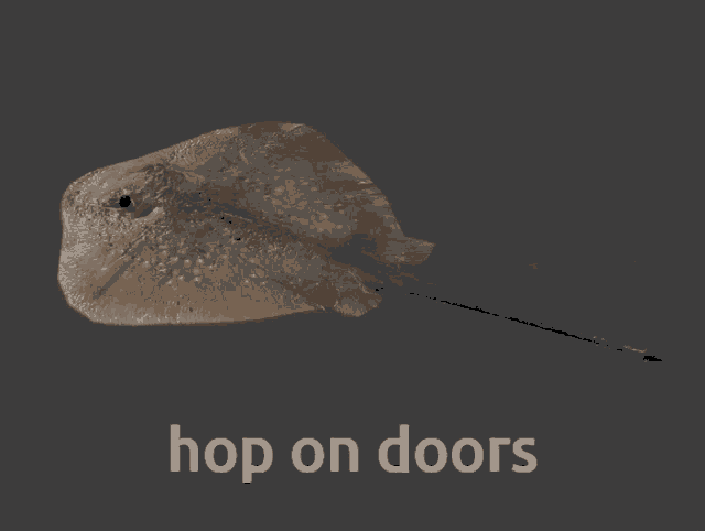 a picture of a stingray with the words hop on doors above it