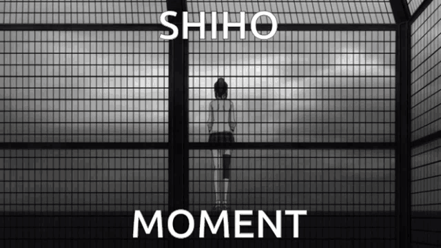 a black and white photo of a person behind a fence with the words " shiho moment "