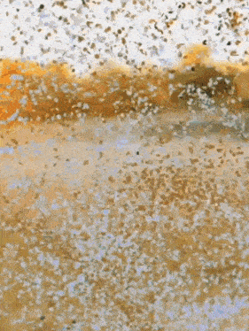 a bunch of leaves are falling on the ground in a field
