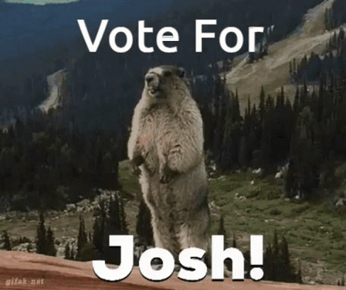 Vote Josh GIF - Vote Josh Joshua GIFs